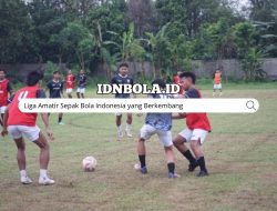 Liga Amatir Sepak Bola Indonesia yang Berkembang