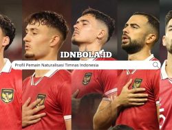 Profil Pemain Naturalisasi Timnas Indonesia