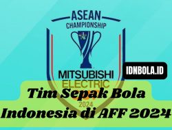 Tim Sepak Bola Indonesia di AFF 2024