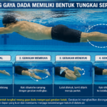 Renang Gaya Dada Memiliki